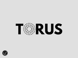 TORUS INC