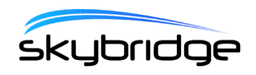 Skybridge (telecommunications Services)