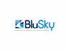 Blusky Restoration Contractors