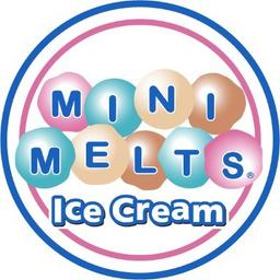 MINI MELTS USA LLC