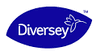 DIVERSEY HOLDINGS LTD