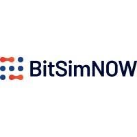 BITSIM NOW AB 