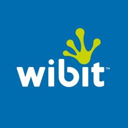 WIBIT SPORTS