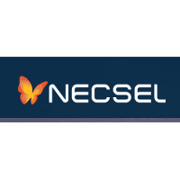 NECSEL INTELLECTUAL PROPERTY