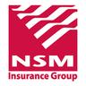 NSM INSURANCE GROUP INC