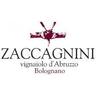 CANTINA ZACCAGNINI