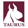 Taurus Investment Holdings