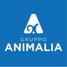 Gruppo Animalia