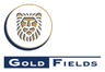 GOLD FIELDS