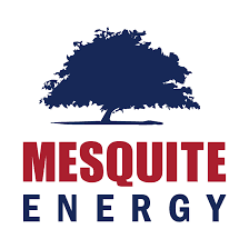 MESQUITE GENERATION HOLDINGS