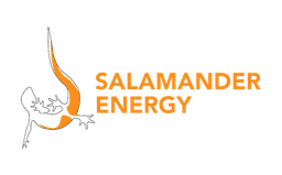 SALAMANDER ENERGY PLC