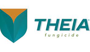 THEIA