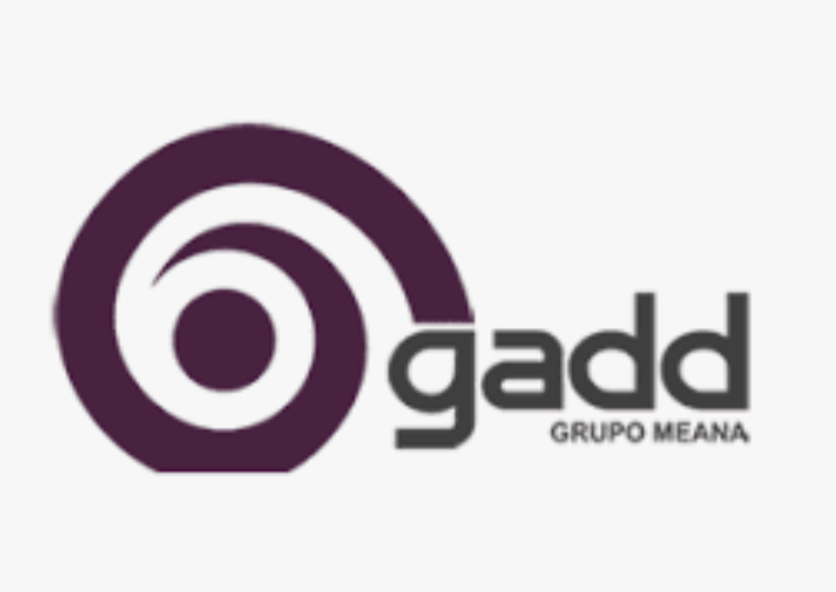 MEANA GROUP