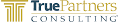 TRUE PARTNERS CONSULTING