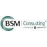 Bsm Consulting