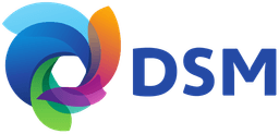 DSM SINOCHEM PHARMACEUTICALS PTE LTD