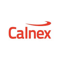 CALNEX SOLUTIONS PLC