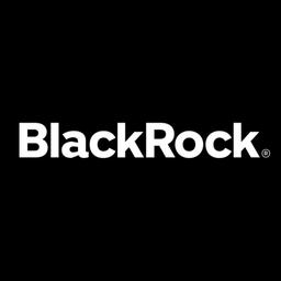 BLACKROCK ENERGY AND POWER INFRASTRUCTURE GROUP