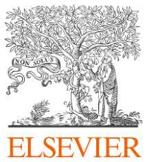 ELSEVIER INC