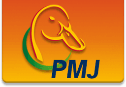 PMJ HOLDING