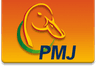 Pmj Holding