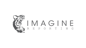 IMAGINE REPORTING