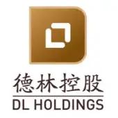 DL HOLDINGS