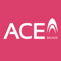 ACE INSURANCE GROUP