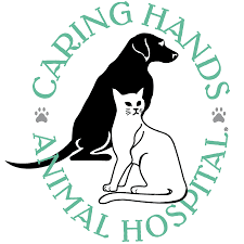 Caring Hands