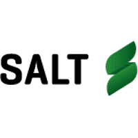 SALT VENTURES