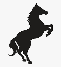 BLACK HORSE CARRIERS INC