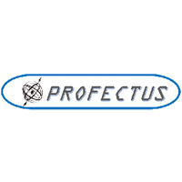 PROFECTUS LLC