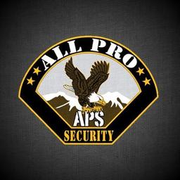 ALL PRO SECURITY