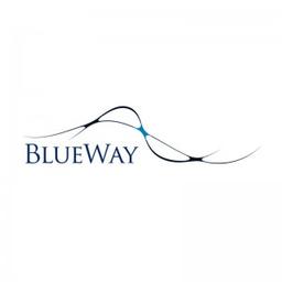 BLUEWAY GROUP