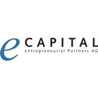 ENTREPRENEURIAL EQUITY PARTNERS