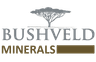 BUSHVELD MINERALS LIMITED