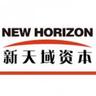 NEW HORIZON CAPITAL