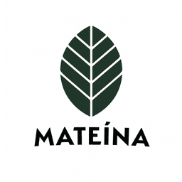 MATEINA INC