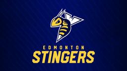 EDMONTON STINGERS