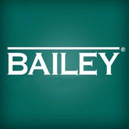 THE BAILEY GROUP OF COMPANIES