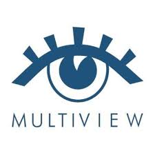 MULTIVIEW INC