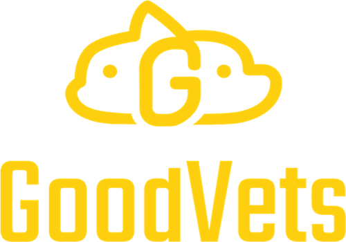 GOODVETS GROUP LLC