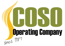 COSO GEOTHERMAL POWER HOLDINGS