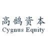 CYGNUS EQUITY