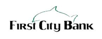 FLORIDA FIRST CITY BANKS INC