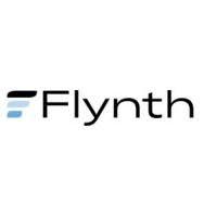 Flynth Audit