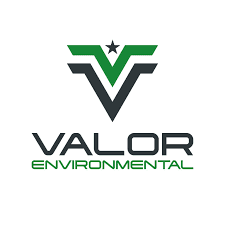 VALOR ENVIRONMENTAL