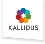 KALLIDUS HOLDINGS LIMITED