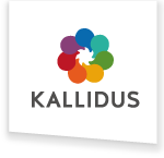 KALLIDUS HOLDINGS LIMITED