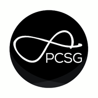 Professional Construction Strategies Group